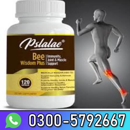 Pslalae Bee Wisdom Plus In Pakistan