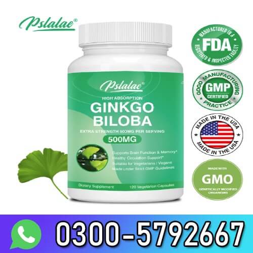 Pslalae Ginkgo Biloba 500 Mg In Pakistan